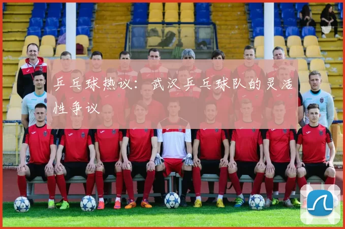 乒乓球热议：武汉乒乓球队的灵活性争议