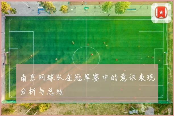 南京网球队在冠军赛中的意识表现分析与总结