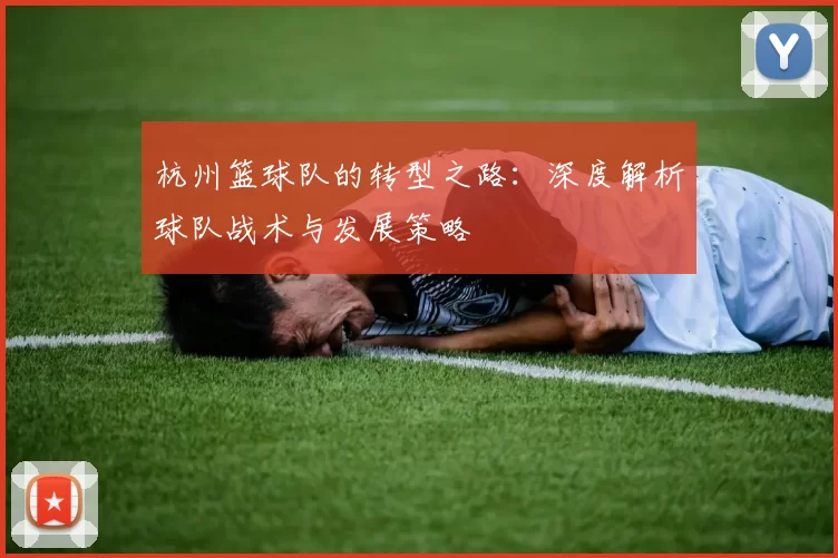 杭州篮球队的转型之路：深度解析球队战术与发展策略