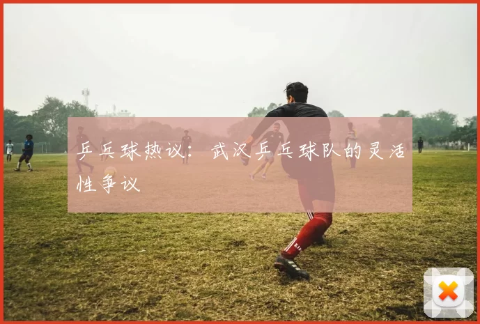 乒乓球热议：武汉乒乓球队的灵活性争议