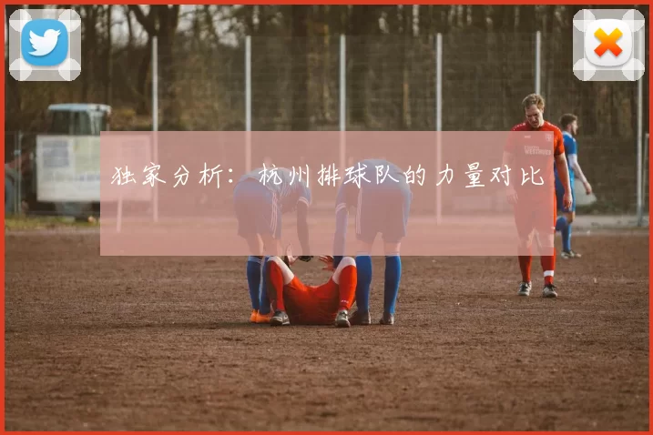 独家分析：杭州排球队的力量对比