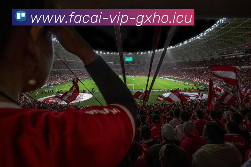 星空体育平台生态图